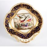 A Bloor Derby shell-shaped dessert dish, painted with birds by Richard Dodson,