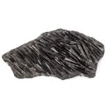 A belemnite fossil, of irregular shape,