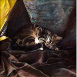 Andrew Hemingway (born 1955)/Cat on Velvet/signed, label verso/pastel, 24.75cm x 24.