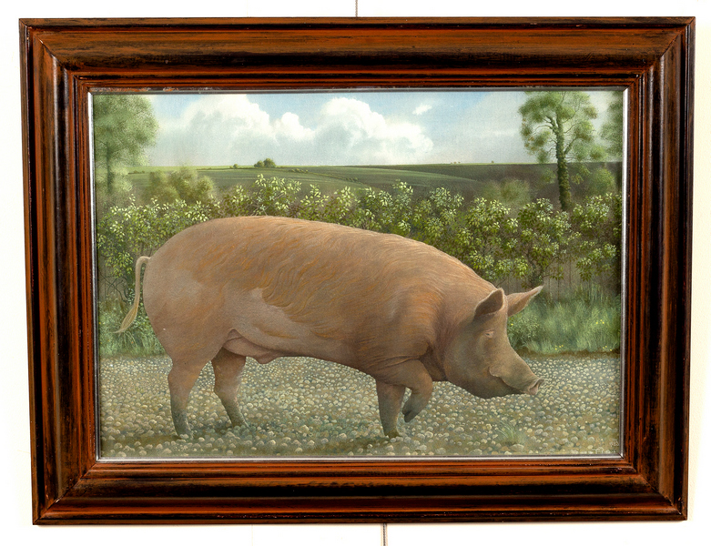 James Lynch (born 1956)/Tamworth Boar/signed, dated 1983, incribed on label verso/egg tempera, - Image 2 of 3