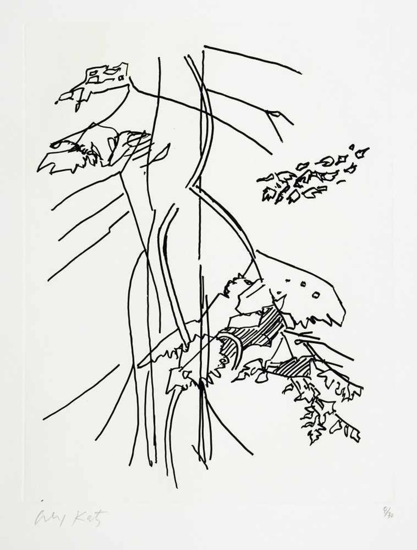 Alex Katz. Robert Creeley. Edges. Elf (von 13) Radierungen. 1997. 38,3 : 32,0 cm. Signiert und - Image 4 of 4