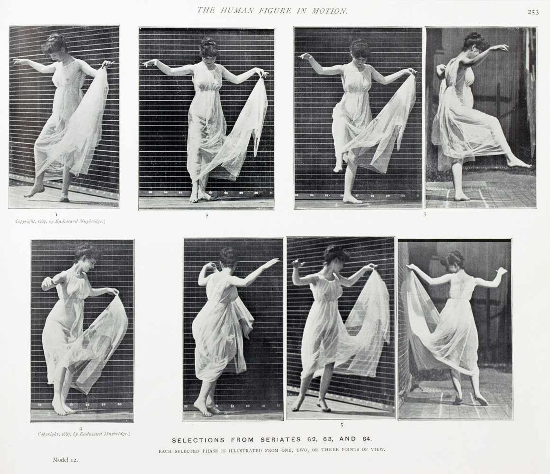 Eadweard Muybridge. Animals in Motion. - The Human Figure in Motion. - An Electro-Photographic - Image 2 of 2