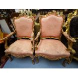 PAIR OF ORNATE GILDED PINK ELBOW CHAIRS AF