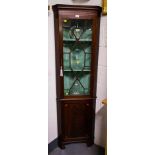 NEAT INLAID MAHOGANY CORNER CABINET AF