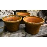 3 TERRACOTTA POTS.