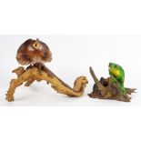 (lot of 2) Taxidermy frilled-neck lizard and a frog