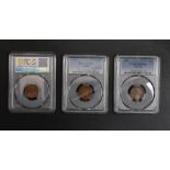 (lot of 3) Two 1909 Lincoln Pennies PCGS MS63BN and PCGS Genuine Cleaned-UNC Detail