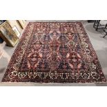 Persian Baktiari carpet