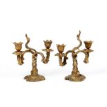 Pair of Rococo style patinated bronze candlesticks
