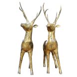 A pair of Tibetan or Himalayan gilt bronze deer sculptures, each depicted gazing outward, 43"h x