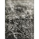 Josef Sudek (Czech, 1896-1976), "View of Spring From Our Street," gelatin silver print, unsigned,