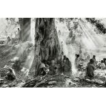 Sebastiao Salgado (Brazilian, b. 1944), "Tigray," 1985, gelatin silver print, pencil signed,