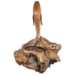 A burlwood carved whale sculpture, the naturalistic form depicting a whale, the burl base carved