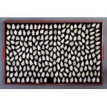 A collection of quartz arrow heads arranged and attached to a display board with wire, 15"l x 30"w