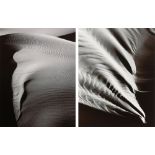 (lot of 2) John Wimberley (American, b. 1945), "Death Valley," 1980, gelatin silver prints, each