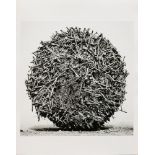 Rick Chapman (American, b. 1966), "Nails, California," 2006, gelatin silver print, pencil signed,