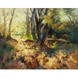 Barbara Dianne Schmidt (American, 1944-2015), "Morning Light," oil on canvas, signed lower left,