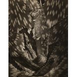 Vilem Kriz (American/Czech, 1921-1994), "Untitled (Sirague City-Dagger)," 1964, gelatin silver