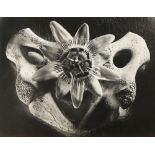 Ruth Bernhard (American, 1905-2006), "Bone and Passion Flower," 1958, vintage gelatin silver