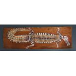 An Australian aboriginal Jimmy MidjawMidjaw (1897-1985) bark painting, large ochre painting on