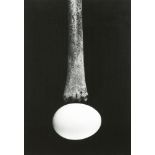 Joseph Jachna (American, 1935-2016), "Still Life (Bone on Egg)," 1968, gelatin silver print,