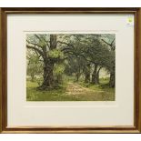 Josef Eidenberger (Austrian, 1899-1991), Path Through the Oak Trees, etching in colors, pencil