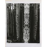 Jerry Uelsmann (American, b. 1934), "Totemic Aspen," 1969, gelatin silver print, initialed and dated