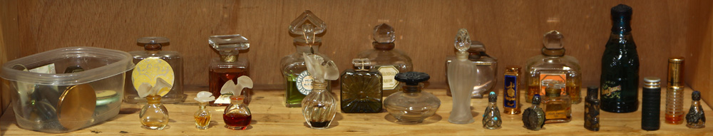 One shelf of perfume bottles