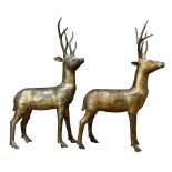 A pair of Tibetan or Himalayan gilt bronze deer sculptures