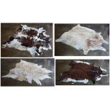 (lot of 4) Cow hide rugs