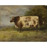 Painting, Brown and White Bull