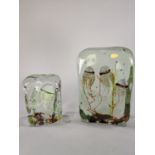 (lot of 2) Murano aquarium glass sculptures, each centered with a cased jellyfish, and accented with