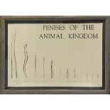 Jim Knowlton (American, Contemporary), "Penises of the Animal Kingdom," 1985, lithograph, sight: