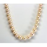 Cultured pearl, diamond, platinum 14k yellow gold necklace Composed of (71) graduated cultured