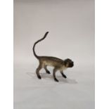 A small taxidermy monkey, depicted with eyes gazing outward and tail raised, overall 16"h x 16"l