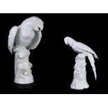 A large Continental blanc de chine porcelain figure of a parrot