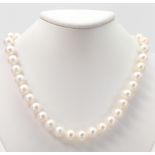 Cultured pearl, 14k yellow gold necklace