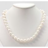 Cultured pearl, 14k yellow gold necklace