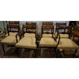 (lot of 8) Regency style dining chairs