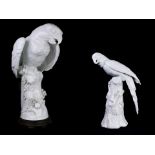 A lot of two Continental blanc de chine porcelain figures of a parrot