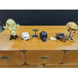 A group of decorative skull models