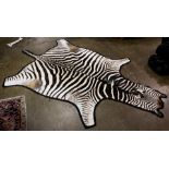 Zebra skin rug