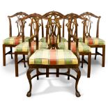 A group of Chippendale style dining chairs
