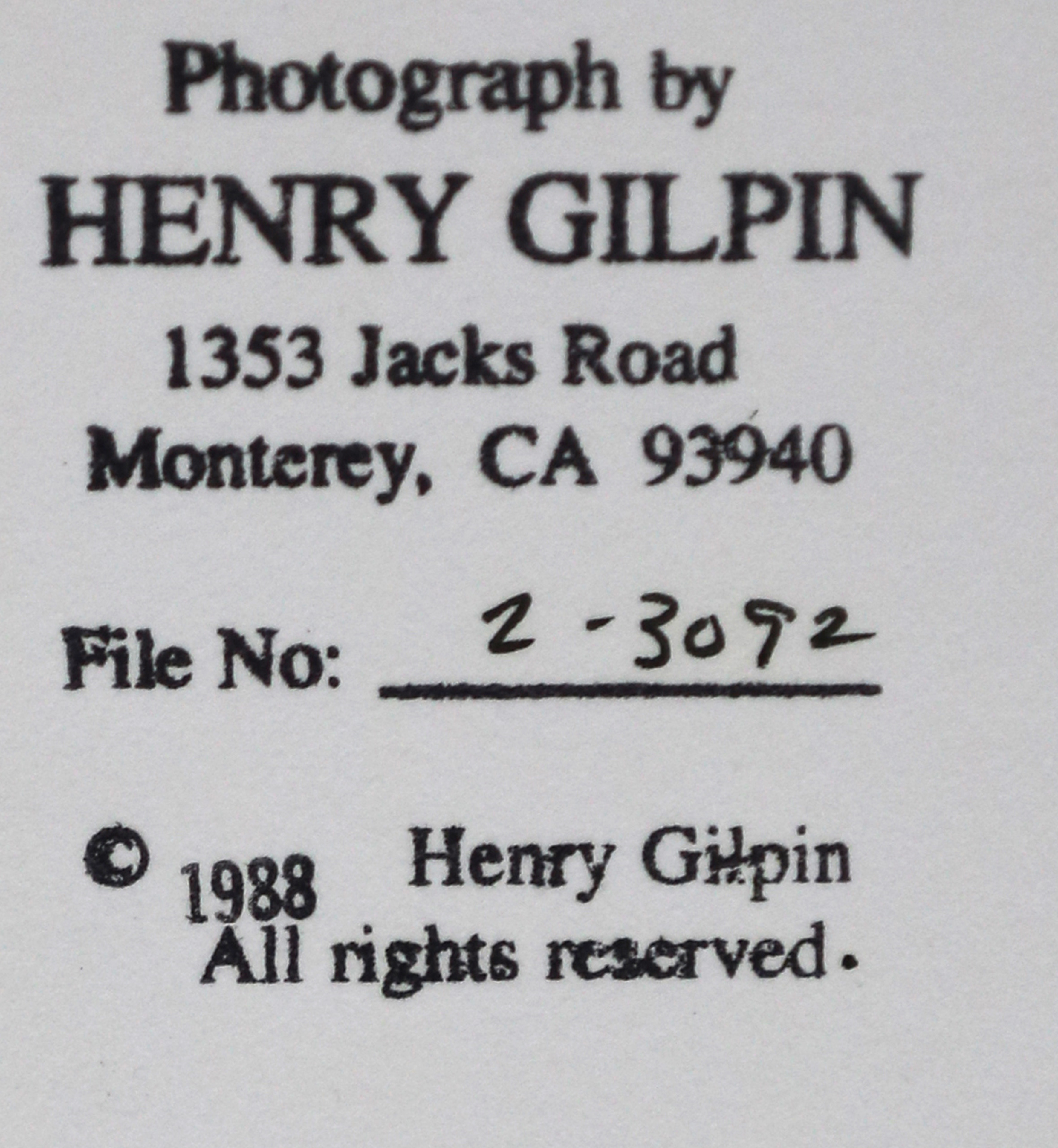 Photograph, Henry Gilpin - Image 4 of 5