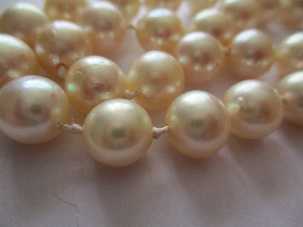 A 2 string pearl necklace with gem set gold and silver clasp - Image 2 of 10