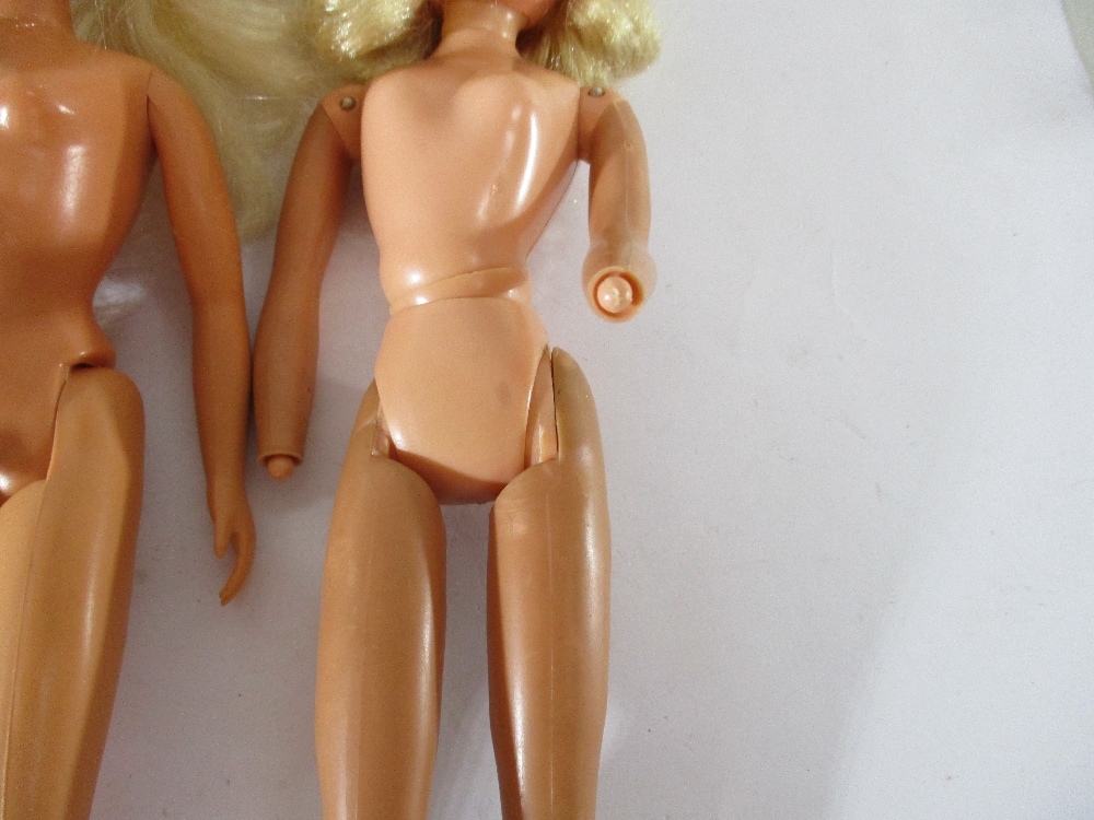 28 Vintage Sindy dolls - Image 7 of 9