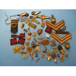 A large quantity of vintage military badges.