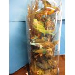 A large Victorian taxidermy display of exotic birds in domed display case