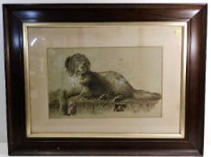 A Landseer style watercolour study of dog by Claud