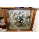 A large 19thC. mahogany framed bird taxidermy grou